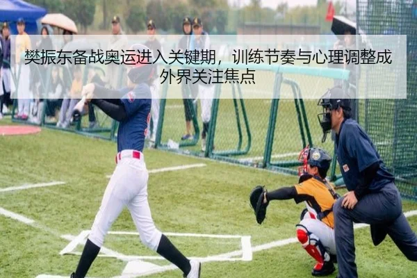 樊振东备战奥运进入关键期，训练节奏与心理调整成外界关注焦点
